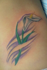 腿部彩色马蹄莲纹身图案