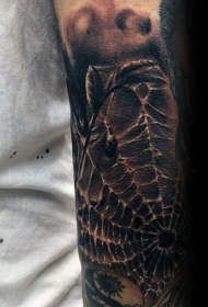 手臂现实主义风格的彩色旧蜘蛛网纹身图案