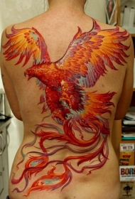 背部美丽的七彩凤凰纹身图案