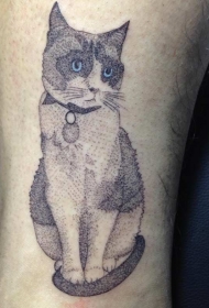 old  school彩色蓝眼睛猫咪纹身图案