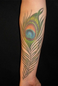 小臂彩色孔雀羽毛纹身图案