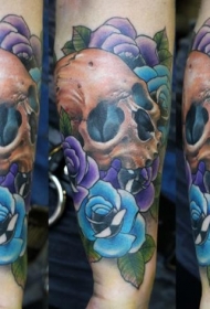 手臂全新风格的彩色骷髅头纹身图案