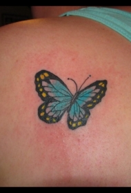 背部可爱的蓝色小蝶纹身图案