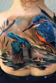 背部天然彩色的鸟类写实纹身图案