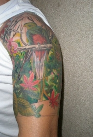 肩部彩色鹦鹉纹身图案