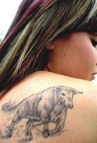 后背逼真的公牛纹身图案