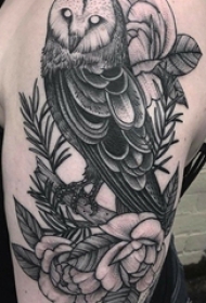 女生手臂上黑色素描点刺技巧猫头鹰花朵纹身图片