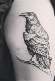 大腿old school素描风格黑色乌鸦纹身图案