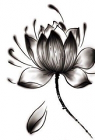黑色素描创意个性水墨唯美莲花纹身手稿
