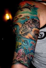 肩部非常逼真的彩色大龟纹身图案