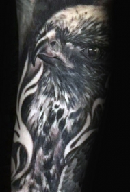 小臂old school黑白写实鹰头部纹身图案