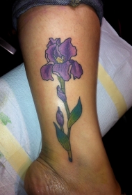 腿部彩色写实紫鸢尾花纹身图案