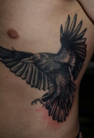 侧肋飞行的黑色乌鸦写实纹身图案