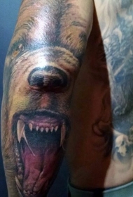 手臂惊人的彩色咆哮熊头纹身图案
