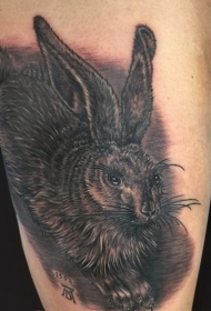 腿部逼真的黑色毛茸茸兔子纹身图案