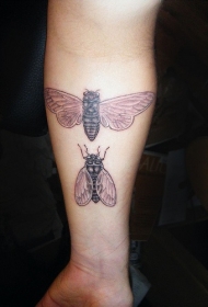 精致的两只苍蝇手臂纹身图案