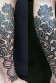 小腿很棒的黑色DNA形状大树纹身图案