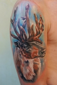 大臂写实彩色鹿头纹身图案