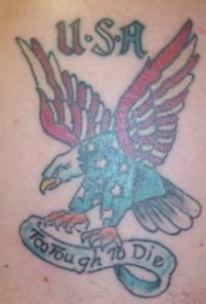 超级爱国美国鹰纹身图案