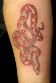 手臂彩色小逼真的红蛇纹身图案