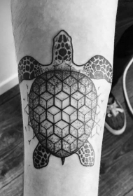 小臂黑色点刺几何乌龟纹身图案