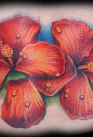 腰部彩色带露水的芙蓉花纹身图片
