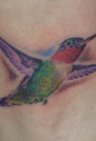 手臂彩色小蜂鸟飞行纹身图片