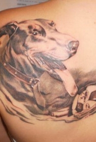 背部美丽的灰色杜宾犬玩球纹身图案