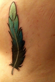有趣的绿色渐变羽毛纹身图案