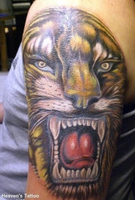 肩部逼真的咆哮的老虎头纹身图片