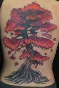 背部亚洲风格的美丽枫叶树彩绘纹身图案