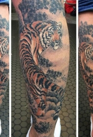 腿部逼真的彩色老虎纹身图案