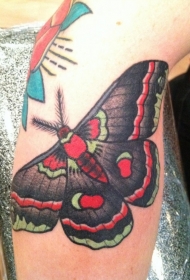 腿部彩色鲜艳的飞蛾纹身图片