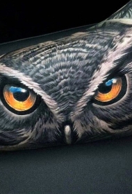 手臂现实主义风格的彩色猫头鹰纹身