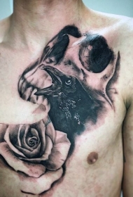 胸部黑灰风格骷髅乌鸦和玫瑰纹身图案