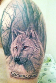 肩部灰色保鲁夫在树林里的纹身图案