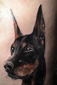 杜宾犬头部纹身图案