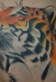 男人胸部老虎头纹身图案