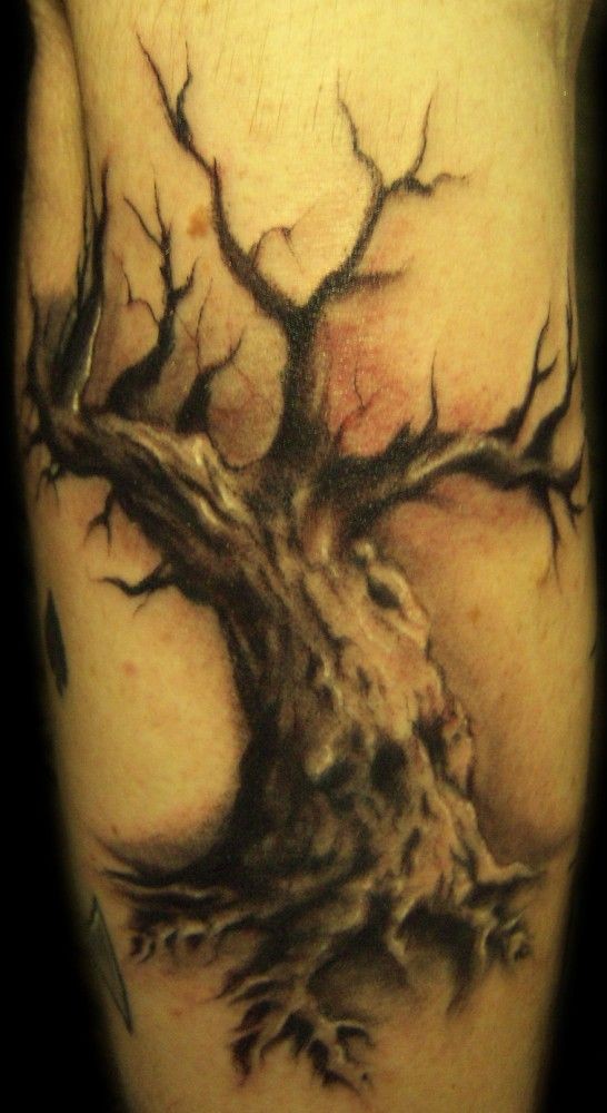 黑色写实枯树纹身图案
