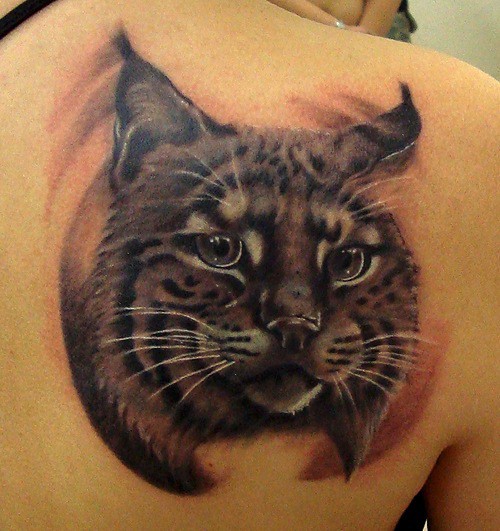 背部可爱的彩色猫纹身图案