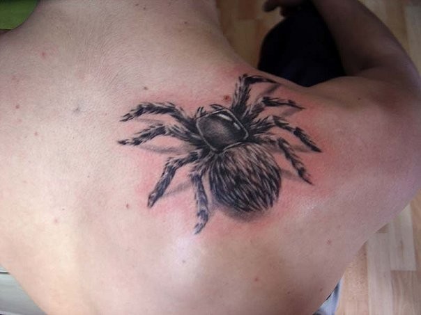 肩部3D毛茸茸的蜘蛛纹身图案