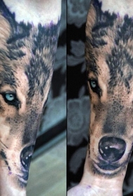 手臂现实主义风格逼真的狼头纹身图案