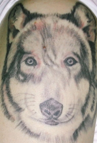 肩部灰色保鲁夫头狼头纹身图案