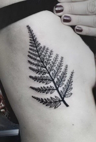 侧肋黑色简约树叶纹身图案