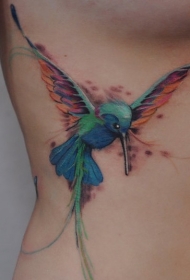 腹部水彩色蜂鸟纹身图案