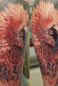 超现实色彩逼真的小鸟纹身图案