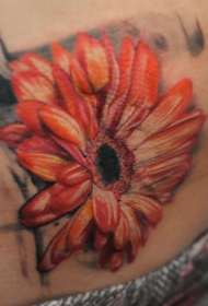 腹部彩色逼真的非洲菊纹身图案