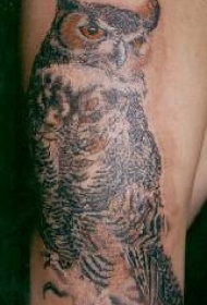 写实的猫头鹰纹身图案