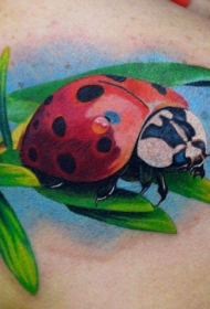 肩部色彩鲜艳的瓢虫纹身图案