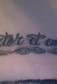 腹部黑色拉丁文花体纹身图案